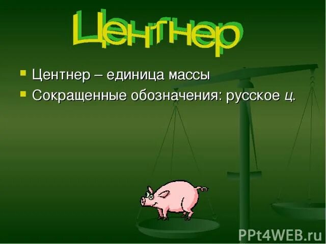 Как пишется центнеров. Центнер. Что весит центнер. Центнер обозначение. Центнер презентация.