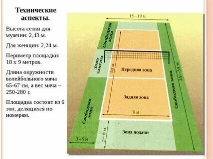Какая высота сетки у женщин