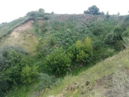 Голова оврага