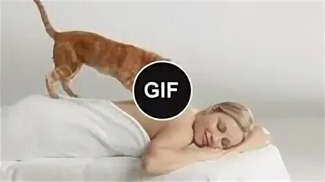 Кот массирует спину. Массаж кошке. Кот делает массаж. Кот массажирует лапами спину. Кошка топчется.