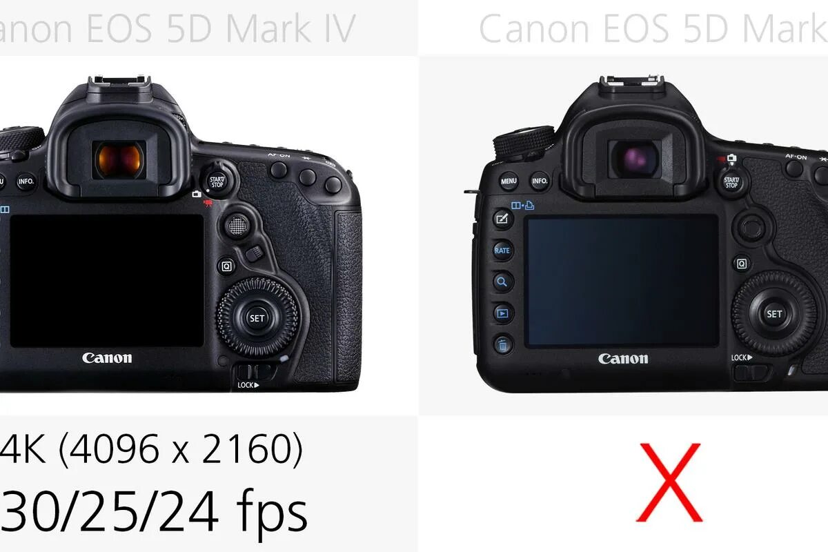 5d vs mark. Canon r6 vs mark4. Canon 5d Mark 4. Canon r6 Mark 4.