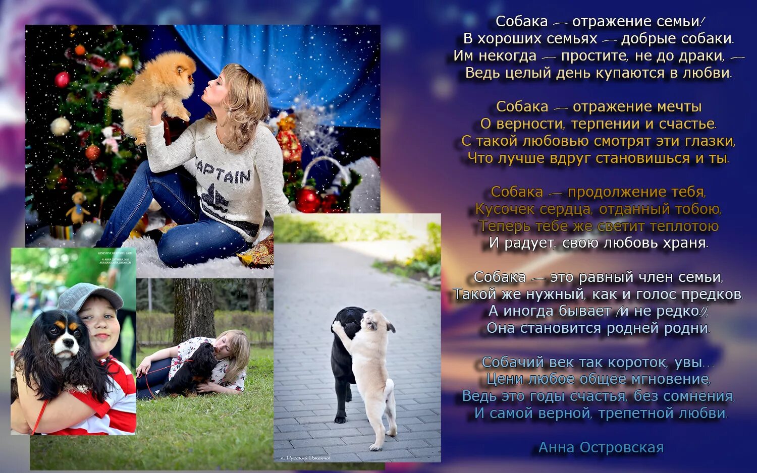 Собаки по знаку зодиака. Щенки по знаку зодиака. Собачья верность стихи. Собака в любви гороскоп. Кролик и кот совместимость.