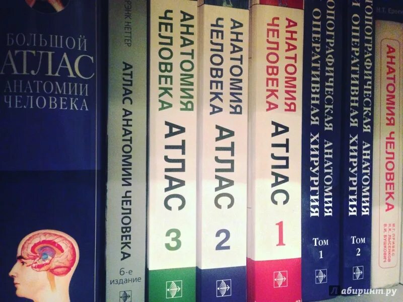 Атлас фрэнк. Атлас Неттера 6 издание. Атлас по анатомии Фрэнка Неттера. Атлас анатомии человека Фрэнк Неттер 7 издание. Книги с иллюстрациями Неттера.