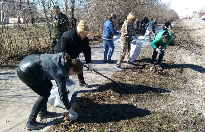 Люди вышли на субботник. Весенний субботник. Экологический субботник. Субботник по благоустройству территории. Субботник фото.