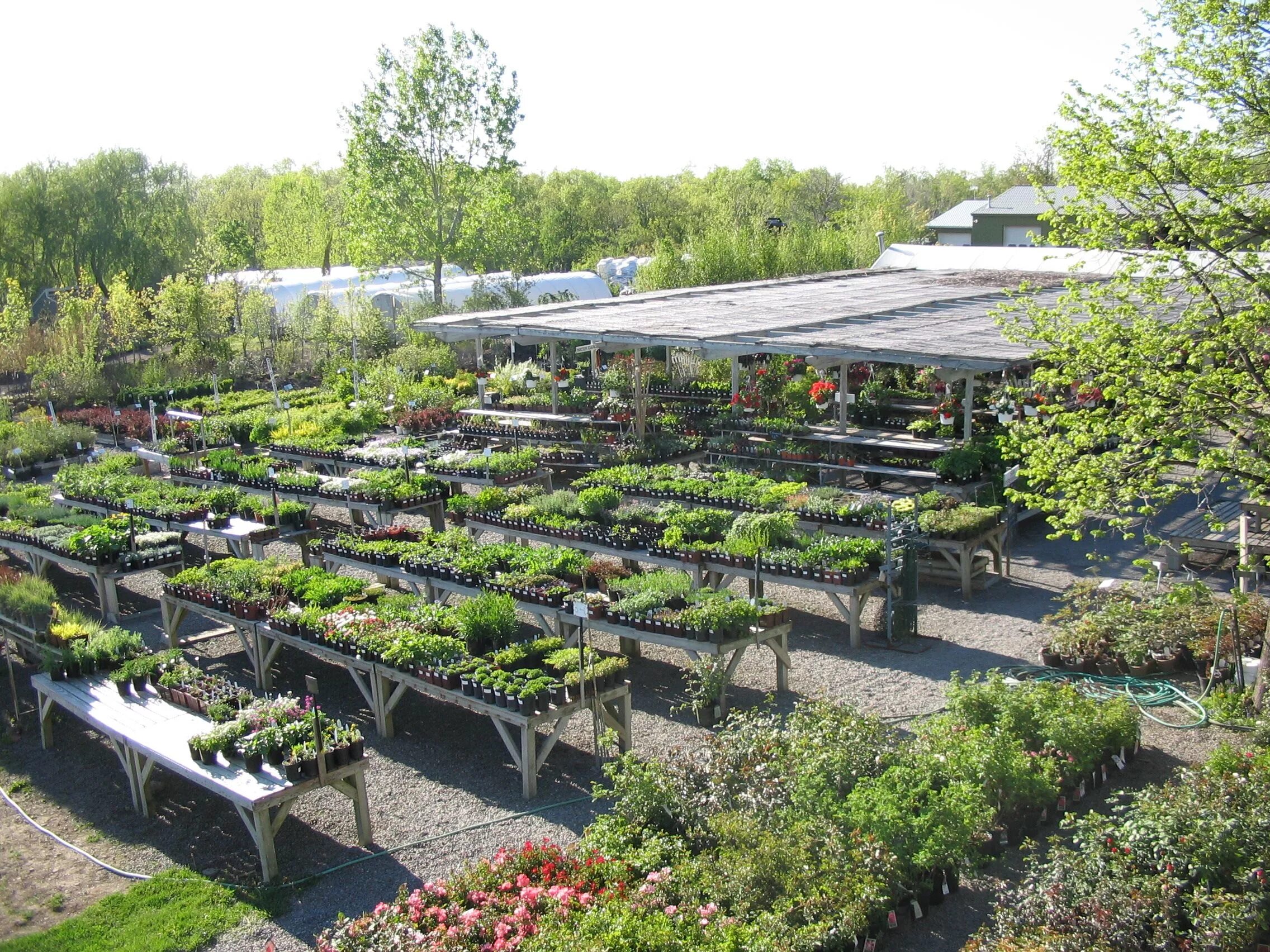 Проект садового центра. Теплица с цветами. Садовый центр. Садовый центр плант. Империал садовый центр.