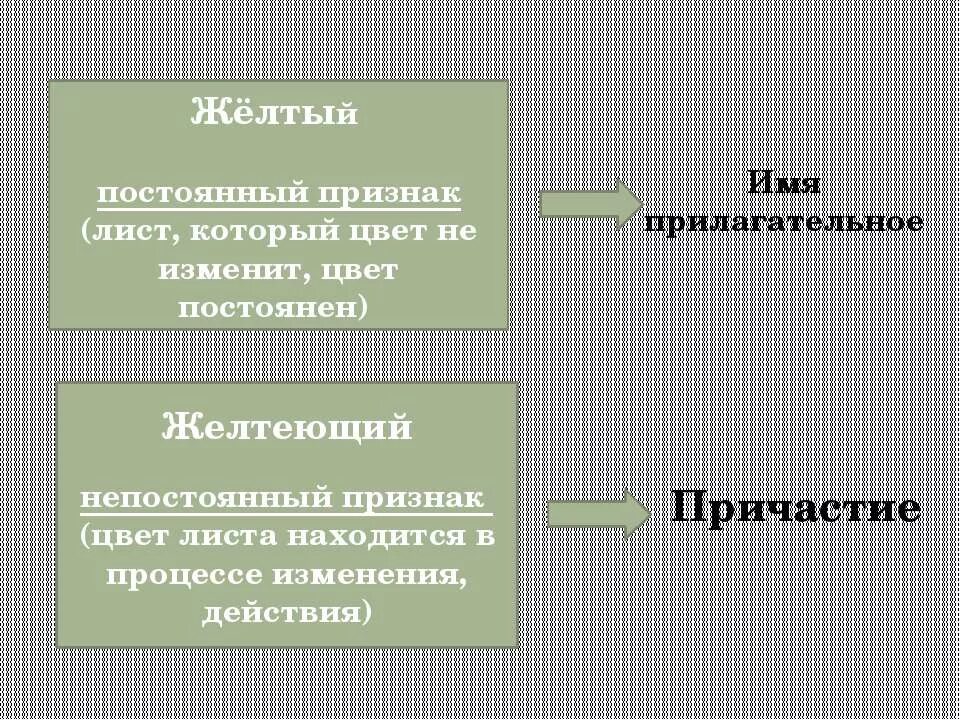 Постоянные признаки желтеющую. Пожелтевшие постоянные признаки. постоянные признаки причастия пожелтевшие. постоянный признак листва. постоянные признаки причастия желтеющую.