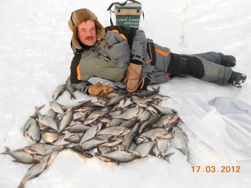 Рыбалка на рыбинке. Рыбинское водохранилище зимняя рыбалка. Рыбинское водохранилище рыбалка зимой. Зимняя рыбалка на Рыбинском водохранилище. Зимняя рыбалка на Рыбинке.