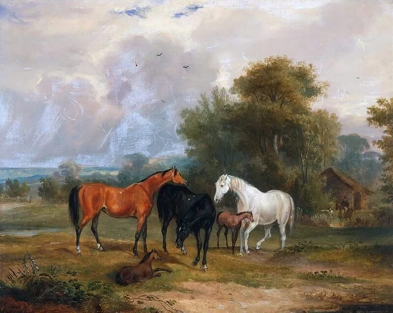 Francis Calcraft Turner. Francis Calcraft Turner (1782-1846). Картина лошади. Картины с лошадьми и всадниками. Тернер лошадь
