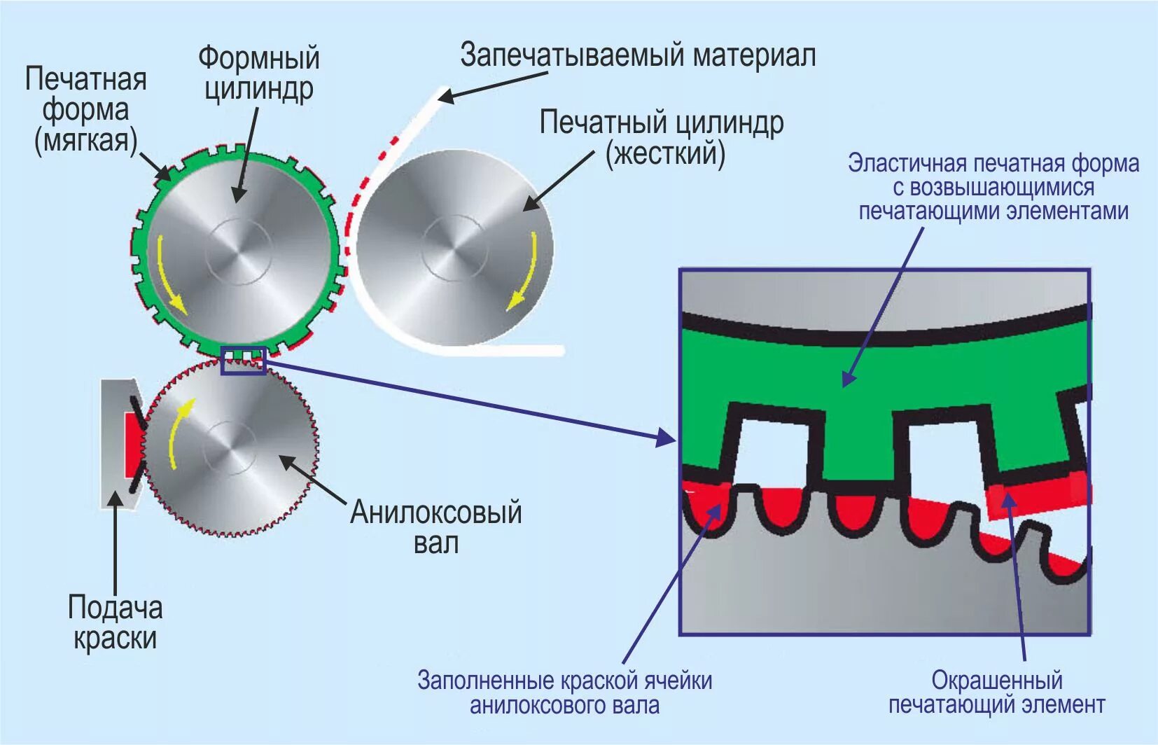 Форма высокой печати. Печатный аппарат флексографской печати схема. формный вал для флексопечати. флексография процесс печати. вал схема флексопечати.