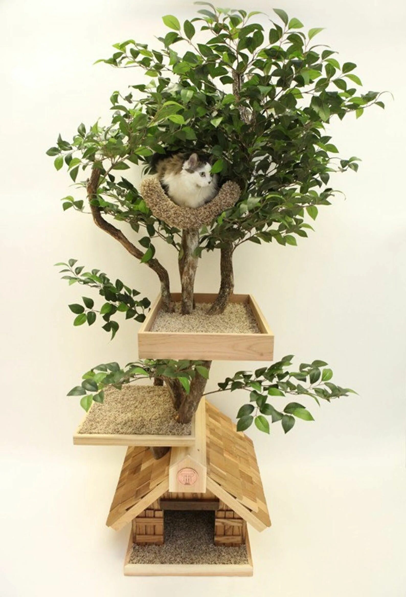 Кошачий домик дерево. Кошки на дереве. Декоративное дерево для кошек. Дом дерево для кошек. Купить дерево домой