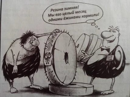 Приколы про резину