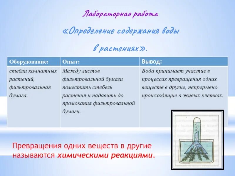 Превращение одних веществ в другие называется химической реакцией. Превращение одних веществ в другие называется. Содержание воды в растениях. Измерение содержание воды