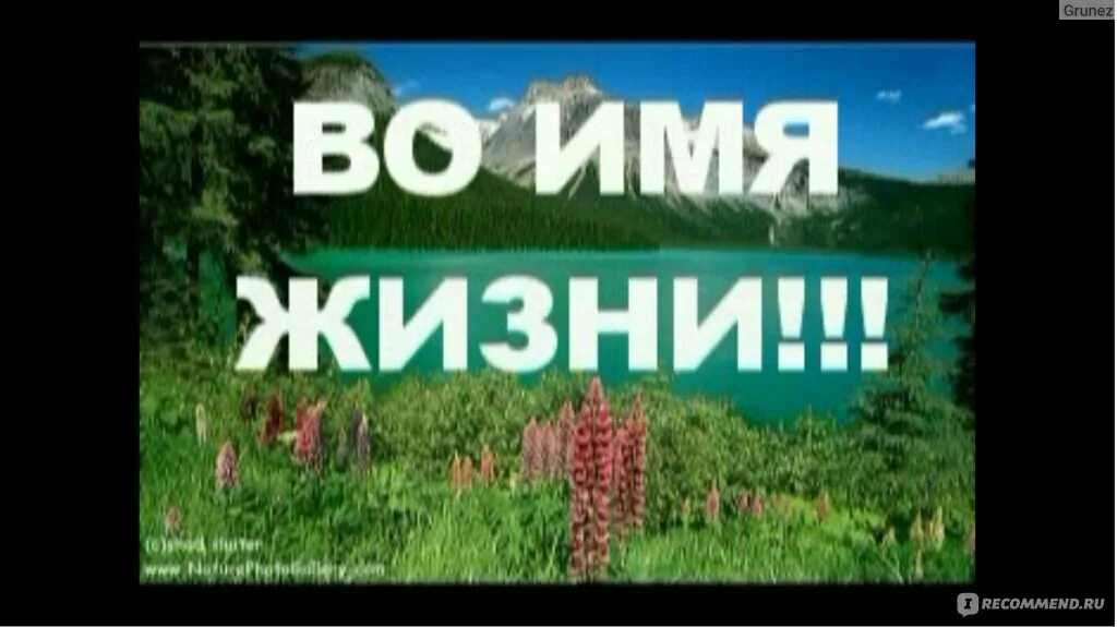 Сеанс во имя жизни. Базылхан дюсупов основной сеанс исцеления. Базылхан дюсупов во имя жизни основной сеанс. Целитель базылхан дюсупов во имя жизни 2021г. Базылхан дюсупов лечебный сеанс видео.