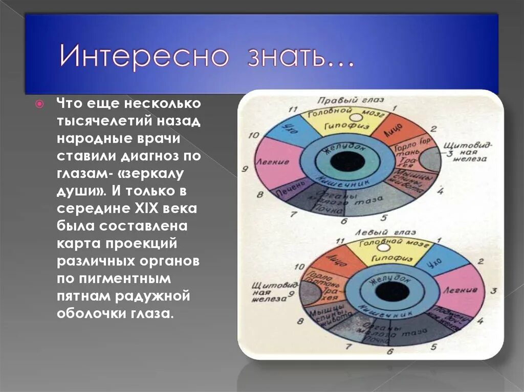 Диагностика по радужке. Болезни по радужке глаза. Диагностика по радужке глаза иридодиагностика. Диагноз по радужной оболочке глаза.