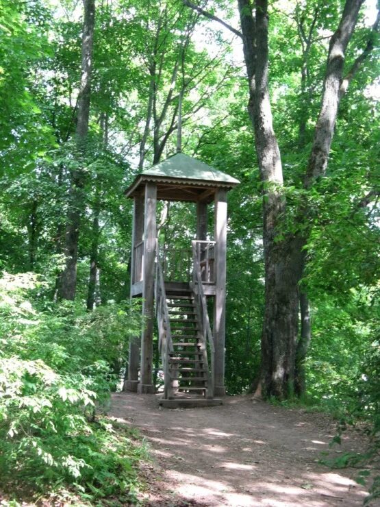 школа ясная поляна тула. тула ясная поляна км. л н толстой имение ясная поляна. музей-усадьба ясная поляна, деревня ясная поляна. заповедники тульской области ясная поляна.