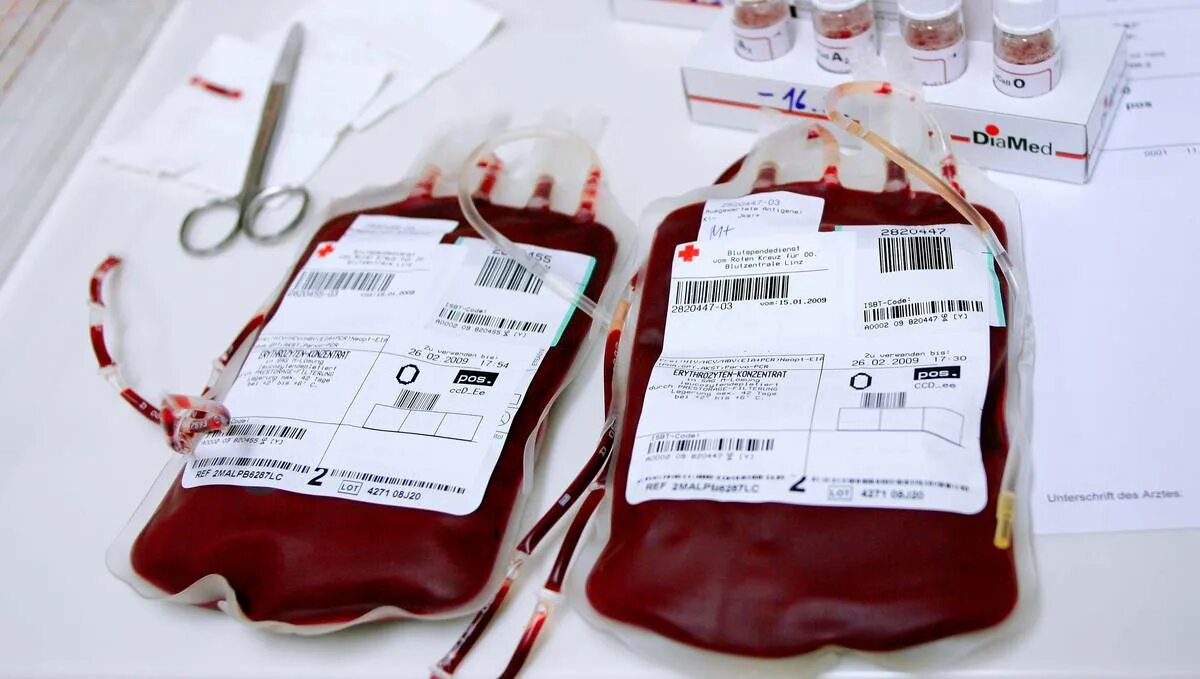 Типы крови донорство. Виды доноров