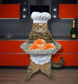 Кухни кот