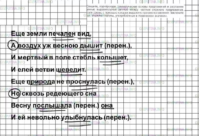 Русский язык 7 класс номер 357. Русскому языку 7 класс Баранов упражнение - 357. Русский язык 7 класс ладыженская 357. Спишите подчёркивая грамматические основы предложений. Русский язык 7 класс упражнение 357.