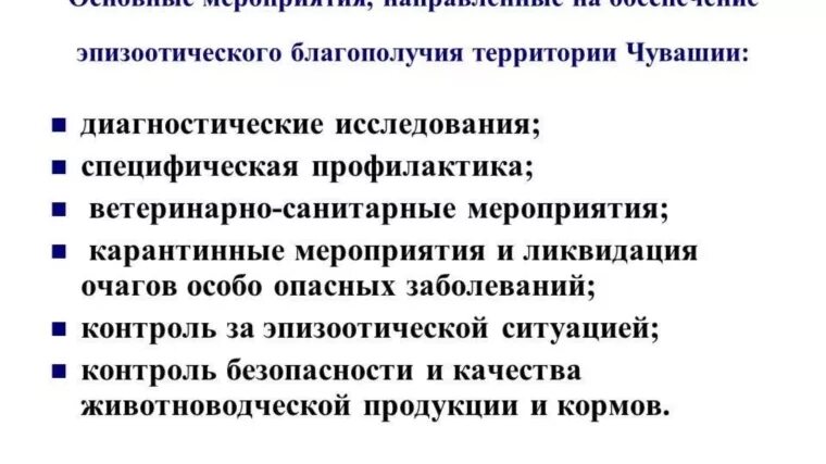 Эпизоотическое благополучие. План профилактических противоэпизоотических мероприятий. План профилактических мероприятий Ветеринария. Профилактические противоэпизоотические мероприятия.