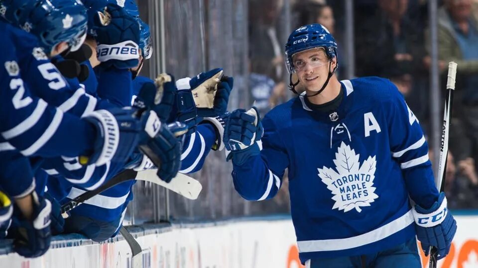 Toronto maple leafs. хоккейный клуб торонто мэйпл лифс. торонто мэйпл лифс команда. хоккейная торонто. торонто мэйпл лифс.