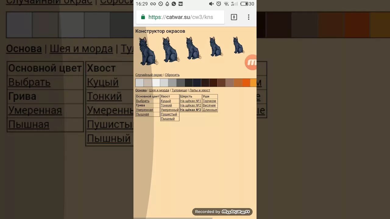Окрасы catwar. Кэтвар окрасы. Кэтвар Генератор окрасов с гетерохромией. Генератор окрасов. CATWAR конструктор окрасов.