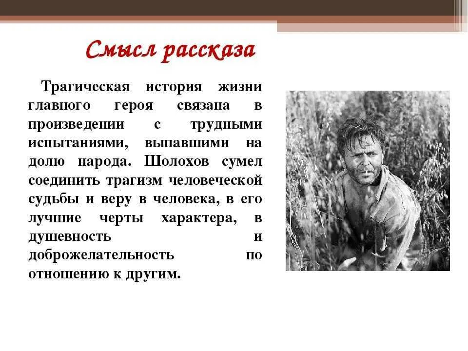 Шолохов судьба человека смысл жизни. Смысл рассказа судьба человека. смысл произведения судьба человека шолохов. смысл рассказа судьба человека шолохов. смысл названия рассказа судьба человека.