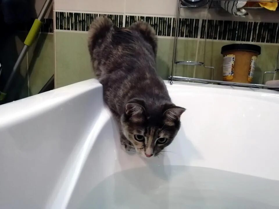 Отключили воду. Ура. Когда дали горячую воду картинки. Когда отключат горячую воду в ульяновске в новом городе. Гифка в душе смешная.