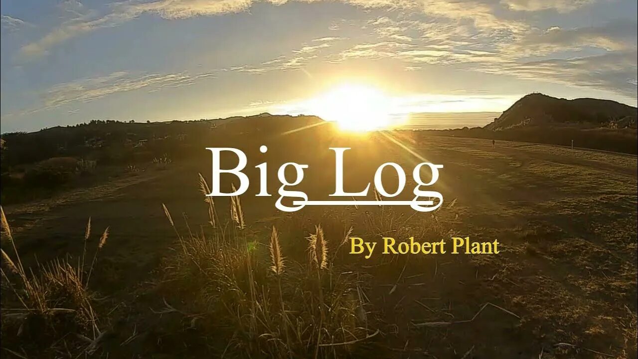 Plant big log