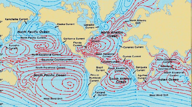 Морских течений действует в тихом океане. Морские течения. Холодные морские течения. Карта течений.