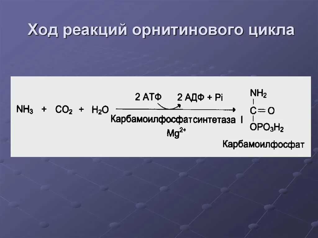 Карбамоилфосфатсинтетаза II. Реакции орнитинового цикла. Общая реакция орнитинового цикла. Суммарная реакция орнитинового цикла. Реакции образования циклов