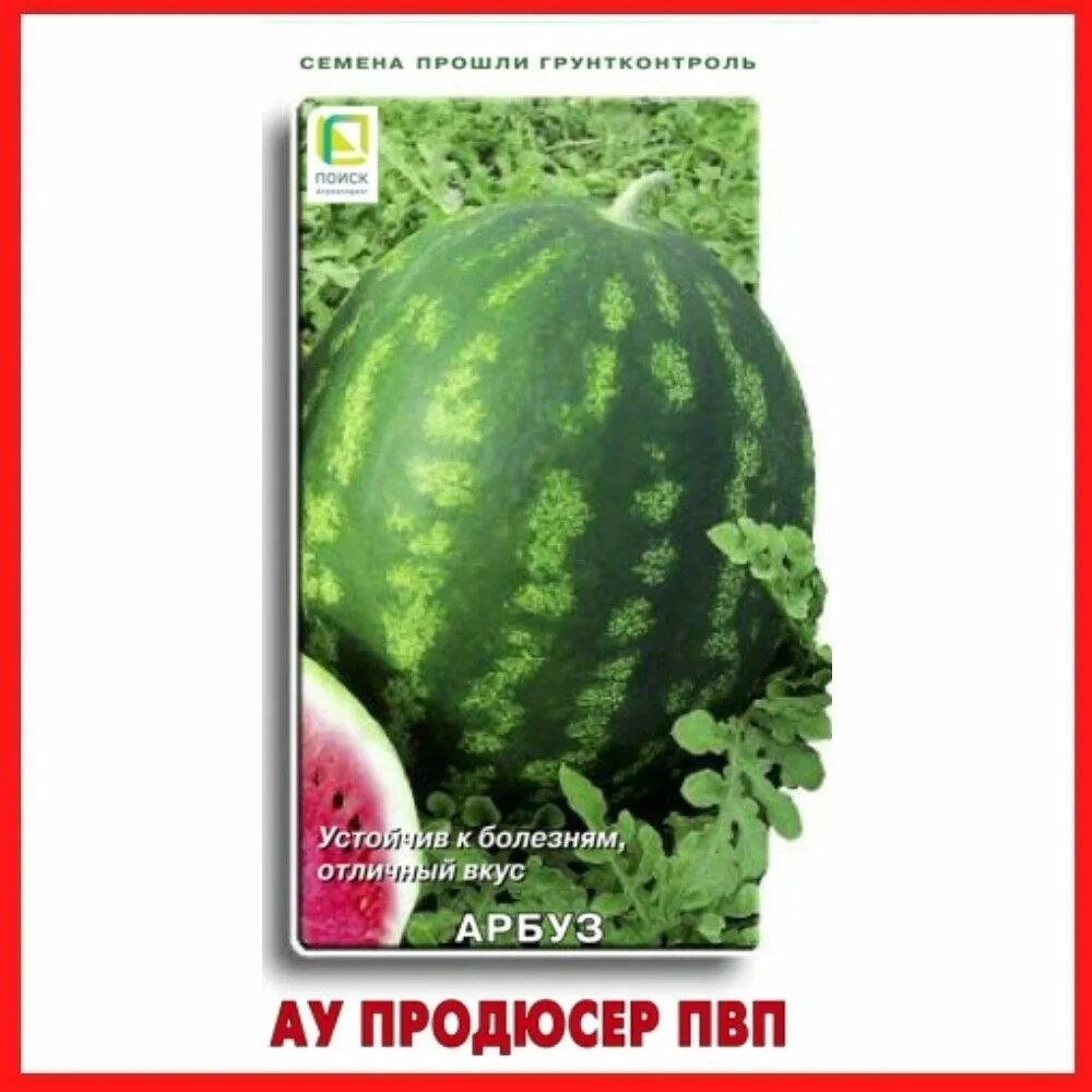 Арбуз ау продюсер. Арбуз ау продюсер пвп 15 шт. арбуз продюсер. сорт арбуза продюсер. семена арбуза продюсер.