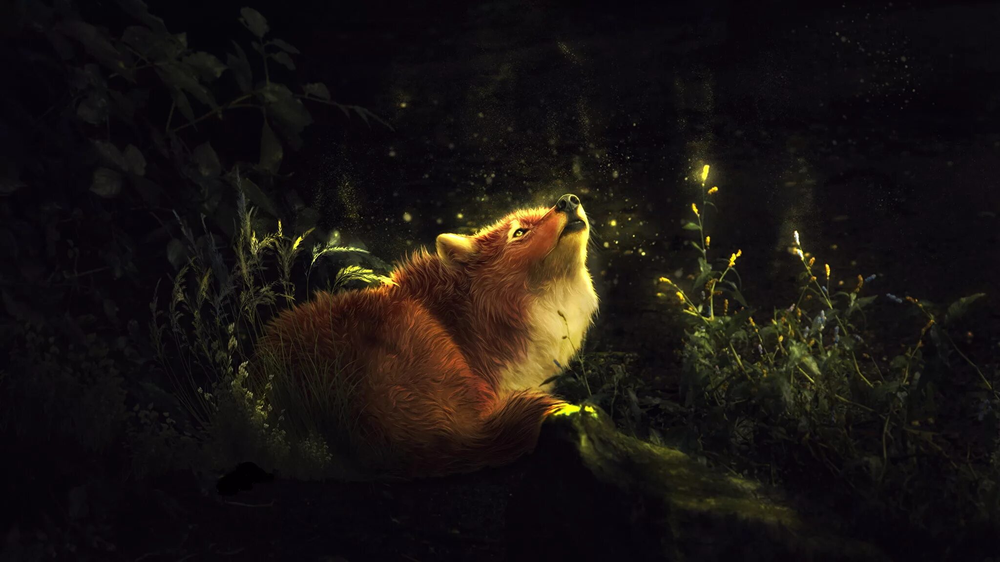 Лиса в лесу ночью. Лиса в лесу ночью. Светящиеся глаза волка. Заставка на рабочий стол лиса. Лиса в темноте.