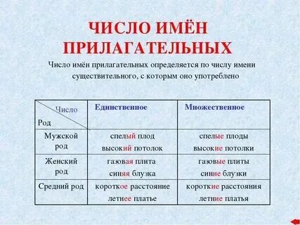 Два форма рода