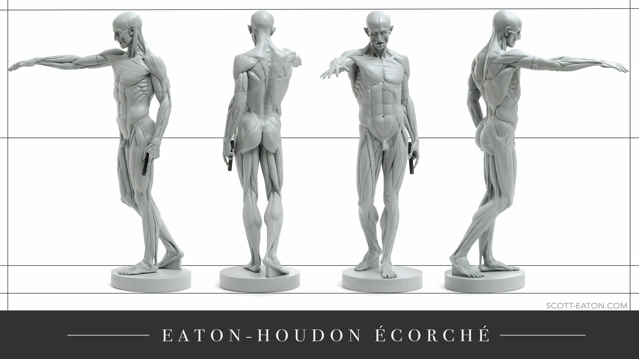 Гудон скульптура Экорше. Scott Eaton Anatomy. Экорше 3д модель. Мир фигур 63 глава