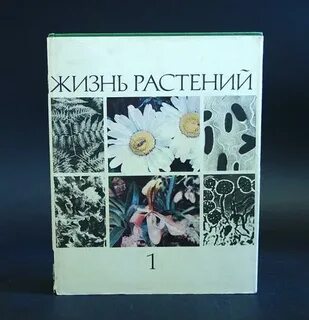 Учебник жизнь растений