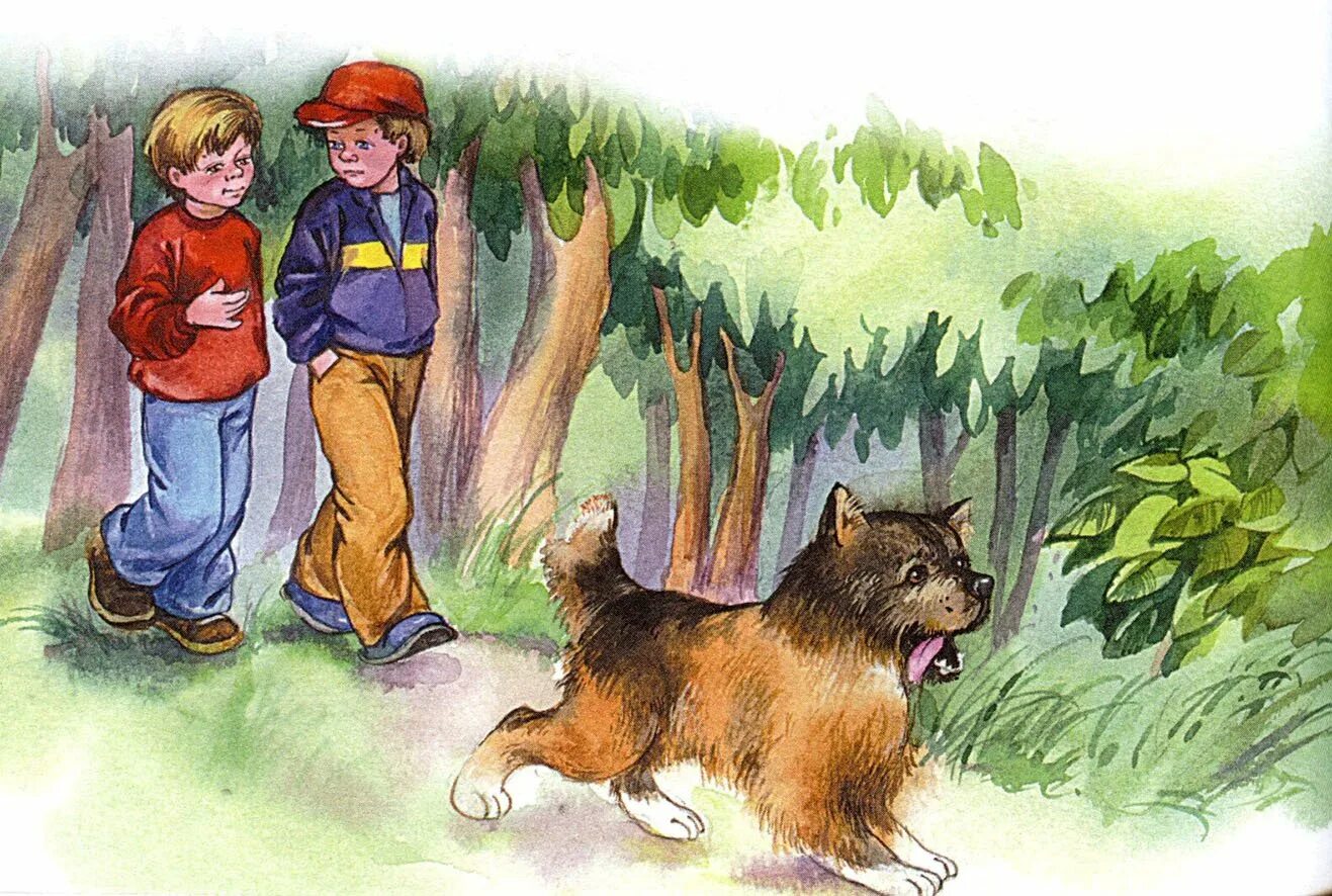 3 рисунка рассказ. Осеева собака яростно рисунок. Два мальчика и собака рисунок. Кто хозяин Осеева план. Жук Осеева изложение.