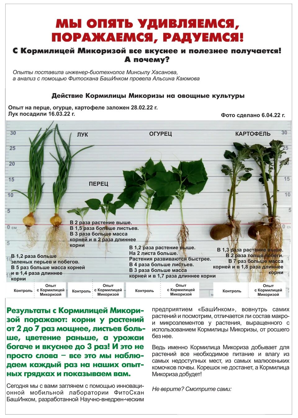 Био микориза применение инструкция по применению