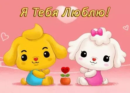 Я тебя тоже понимаю