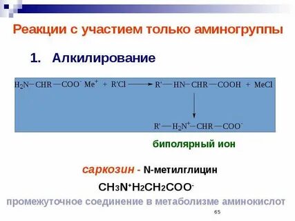 Вторичная аминокислота