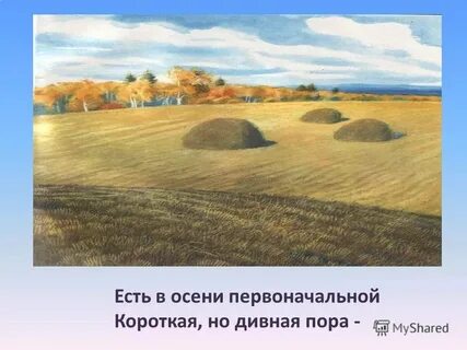 Короткая но дивная