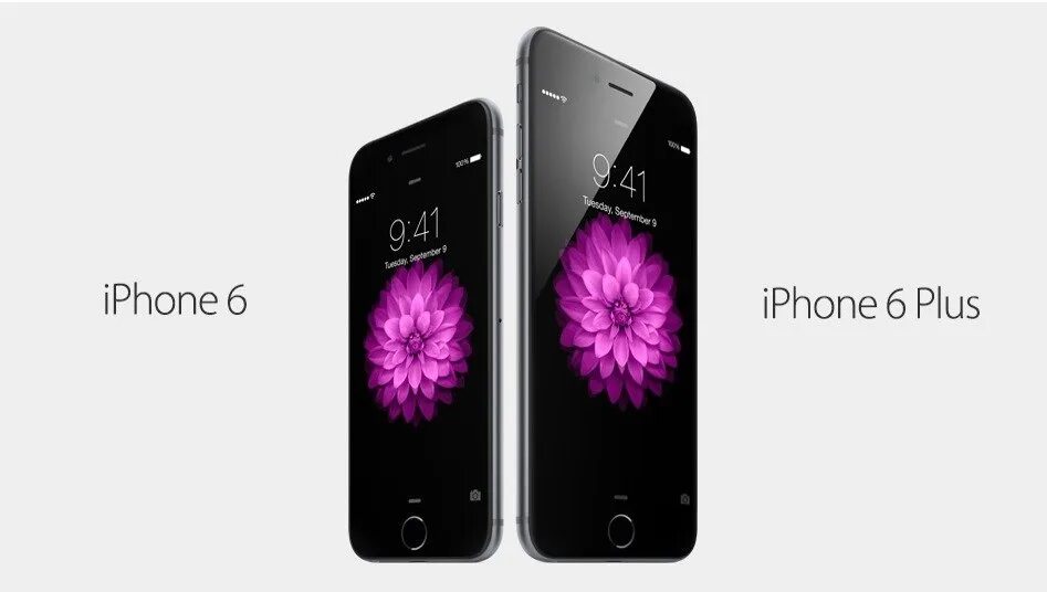 Iphone 5s bigger than bigger. Freeboard iphone. Как ввозят серые айфоны. Largest iphones.