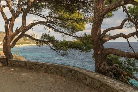Алупка берег моря