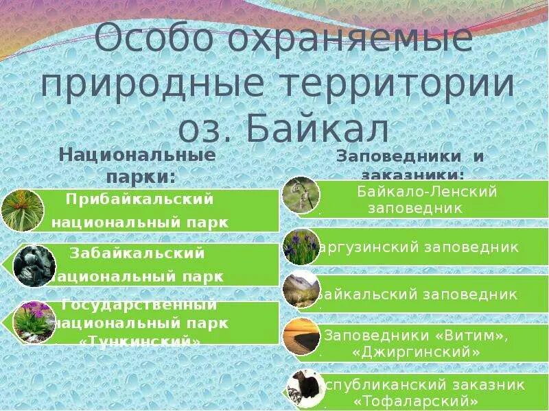 Особо охраняемые природные территории какие виды. Охраняемые территории. Виды ООПТ. Особо охраняемые природные. Особо охраняемые природные территории России.