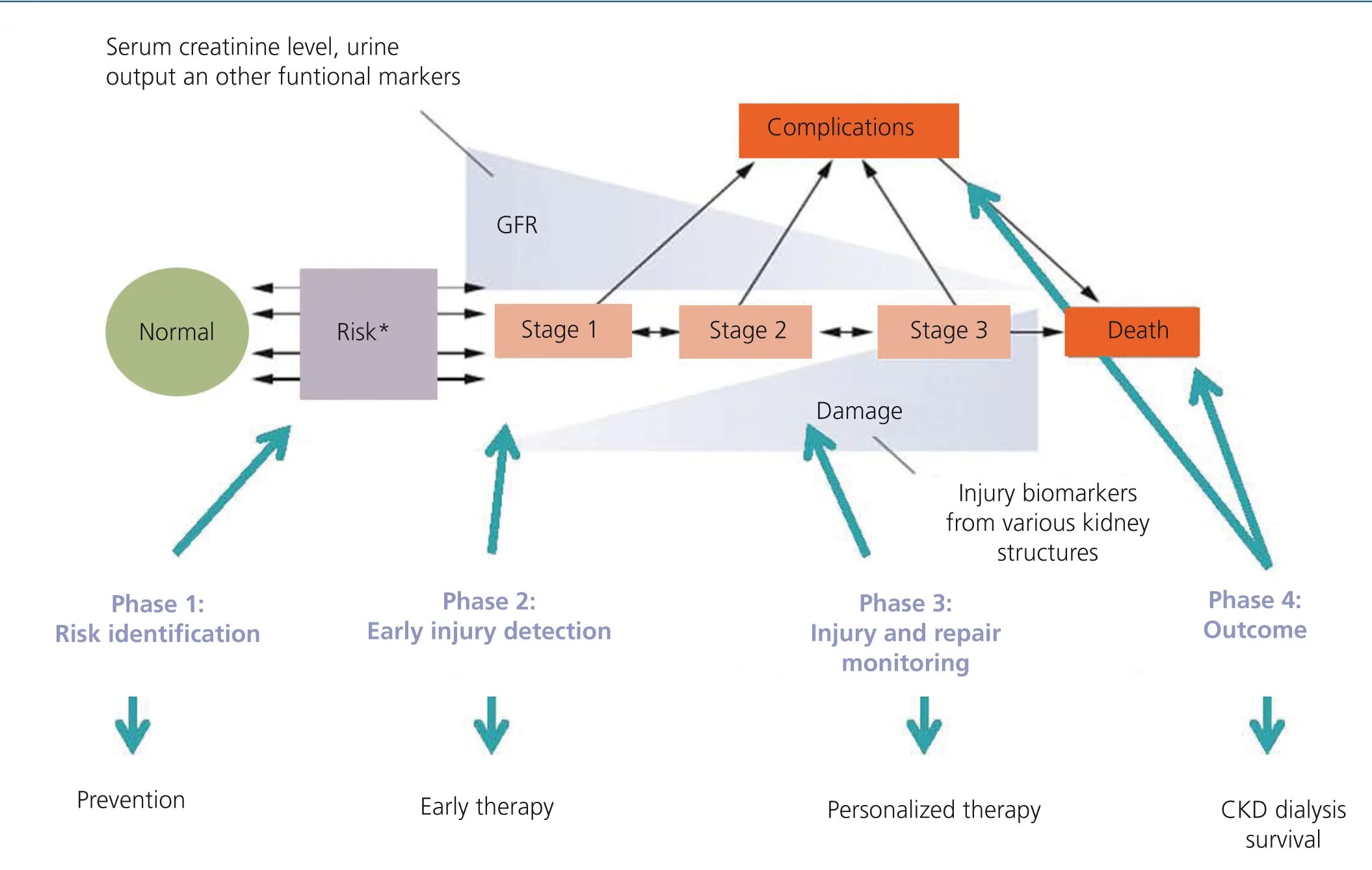 Use https doi org. Stroke biomarkers. Sigma-phase structure. Complications Aki. Biomarkers in mi.