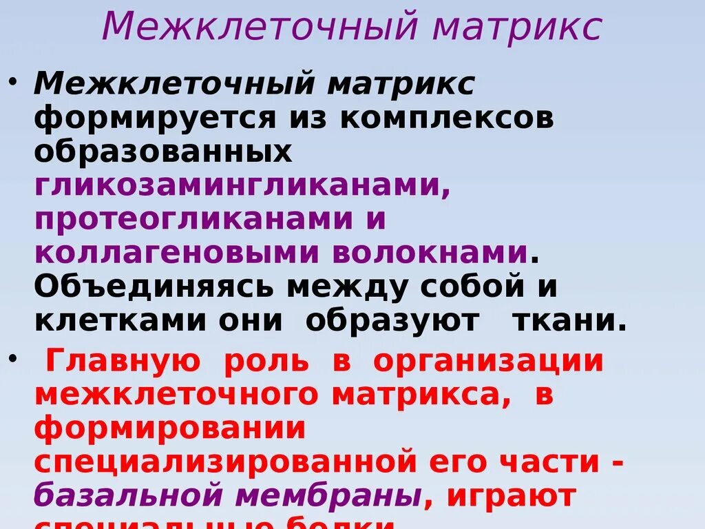 Вещества матрикса. Межклеточный матрикс. функции межклеточного матрикса. организация межклеточного матрикса. межклеточный матрикс соединительной ткани.