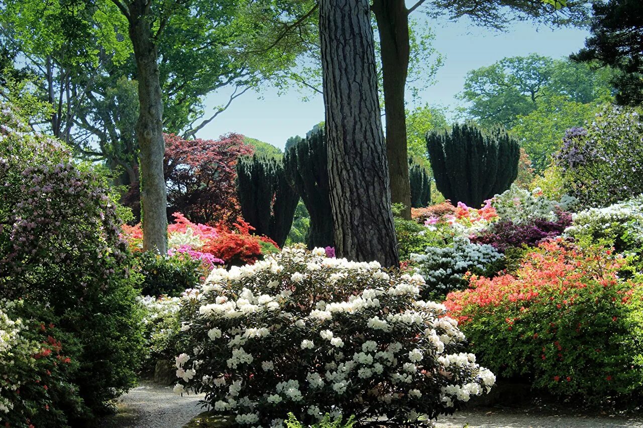 Сад Боднант Уэльс. Сады Леонардсли (Leonardslee Gardens). Парк Великобритания рододендроны. Сады рододендронов в Англии. Сад ньютонов