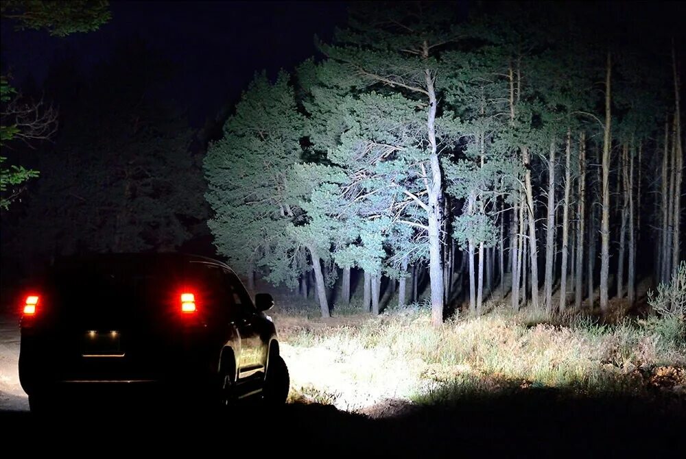 Машина в лесу ночью. Дорога в лесу ночью. Машина в темноте в лесу. «Ночь в лесу».