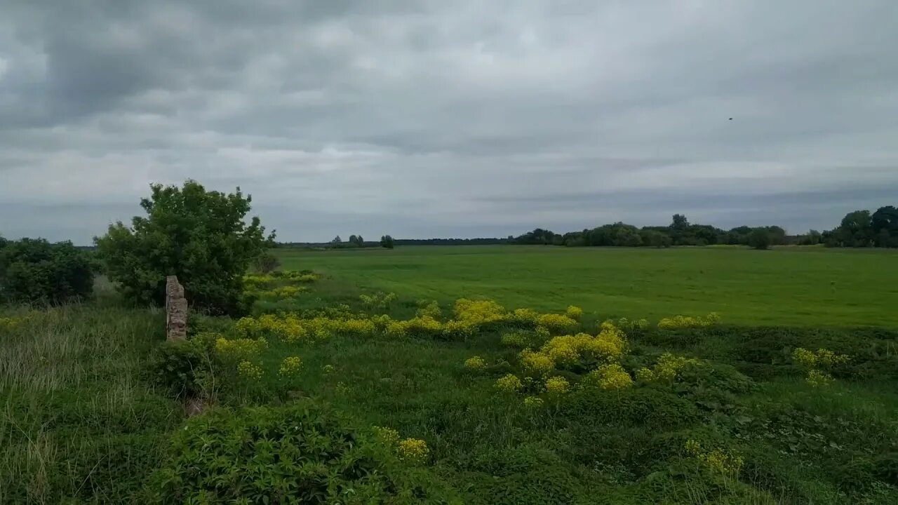 Село Савилово Тамбовская область. Руины Тамбова. Село Савилово Петровского района Тамбовской. Сайт петровского района тамбовской область