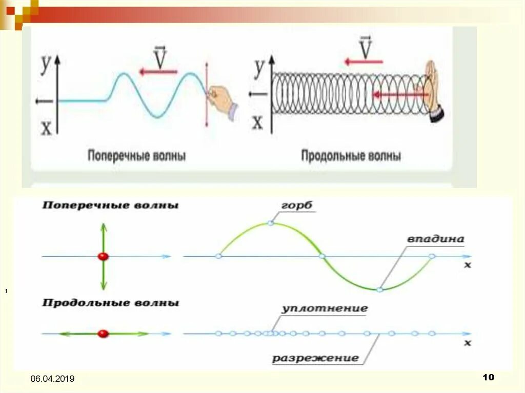 Продольные и поперечные волны. Поперечная волна и продольная волна. Продольные волны рисунок. Поперечные и продольные волны физика. Что такое продольная волна