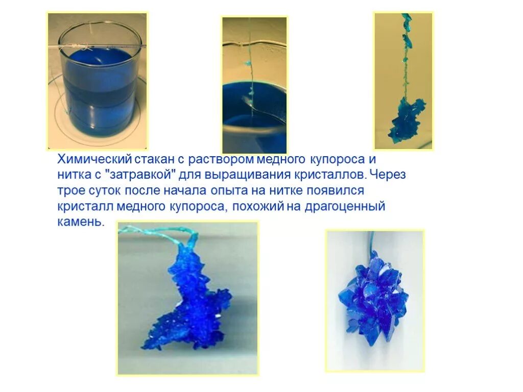 Кристалл медного купороса Кристалл. Кристаллы медного купороса на нитке. Опыт Кристалл из медного купороса. Кристалл медного купороса в растворе. Опыт с медным купоросом